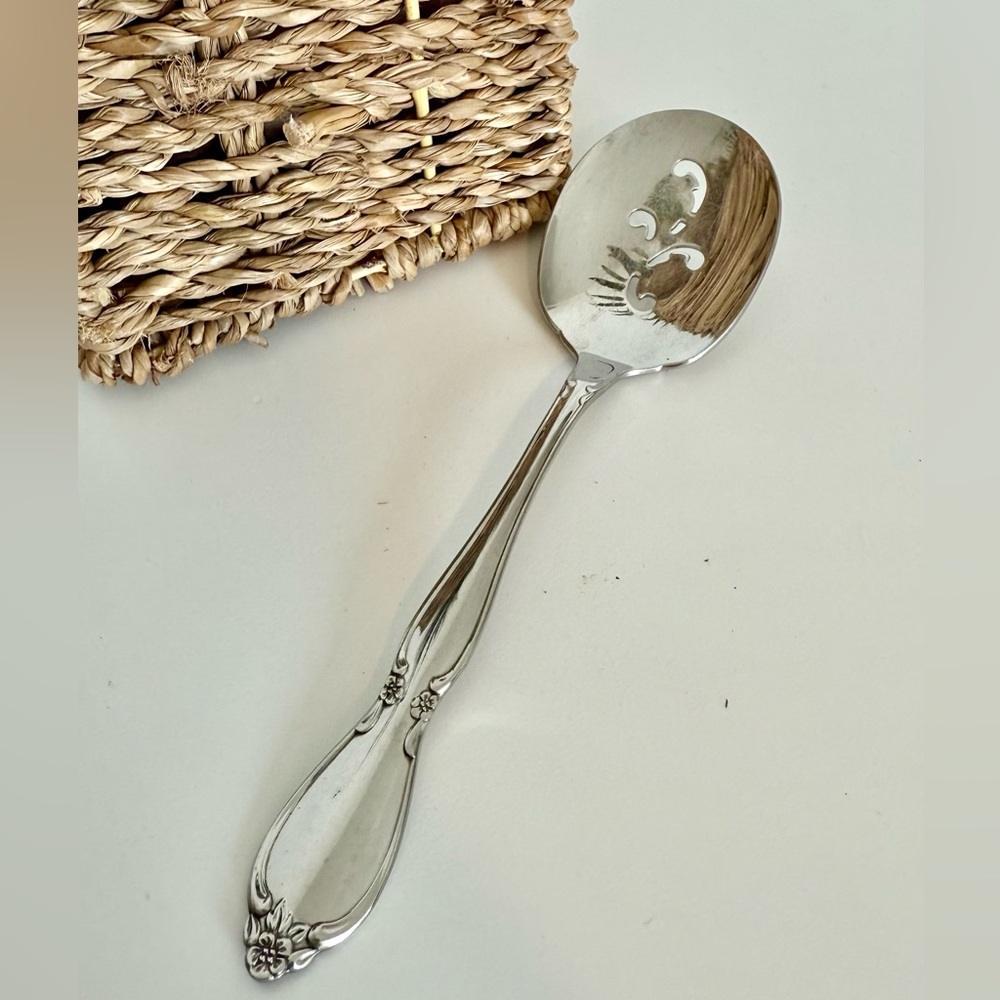 CHATELAINE Oneida Community Stainless Flatware Silverware Jelly Server Spoon Ser